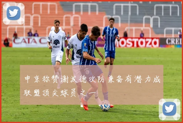 申京称赞谢泼德攻防兼备有潜力成联盟顶尖球员之一