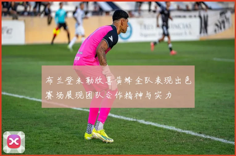布兰登米勒欣喜黄蜂全队表现出色赛场展现团队合作精神与实力