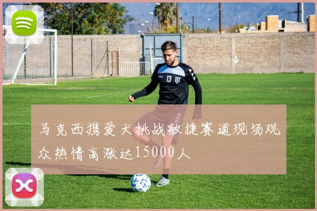 马克西携爱犬挑战敏捷赛道现场观众热情高涨达15000人