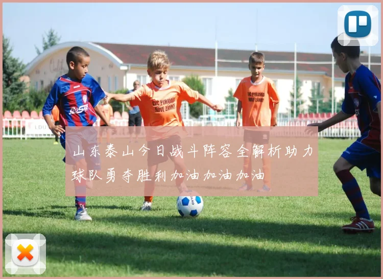 山东泰山今日战斗阵容全解析助力球队勇夺胜利加油加油加油