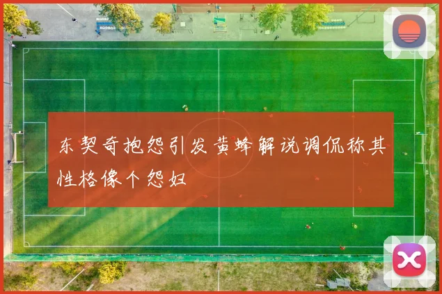 东契奇抱怨引发黄蜂解说调侃称其性格像个怨妇